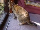 DSC00031_2