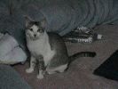 DSC00020_1