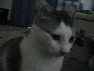 DSC00007_1