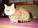 IMG_257
