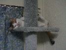 DSC00018_1