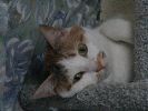 DSC00019_1