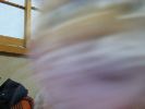 IMG_273
