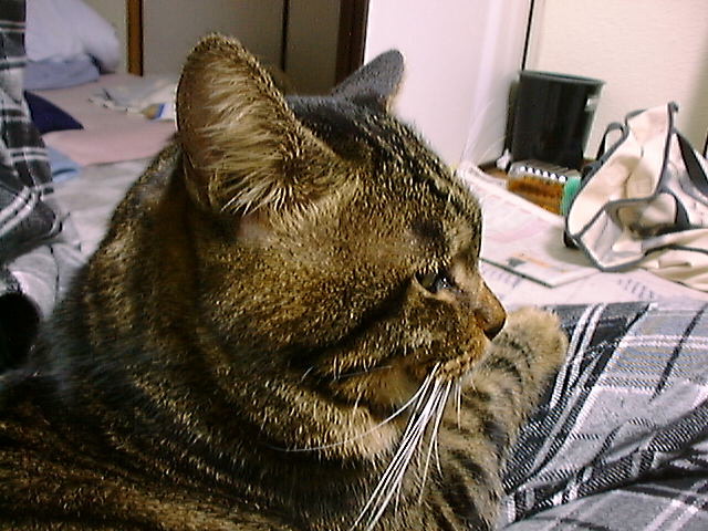 DSC00004_2