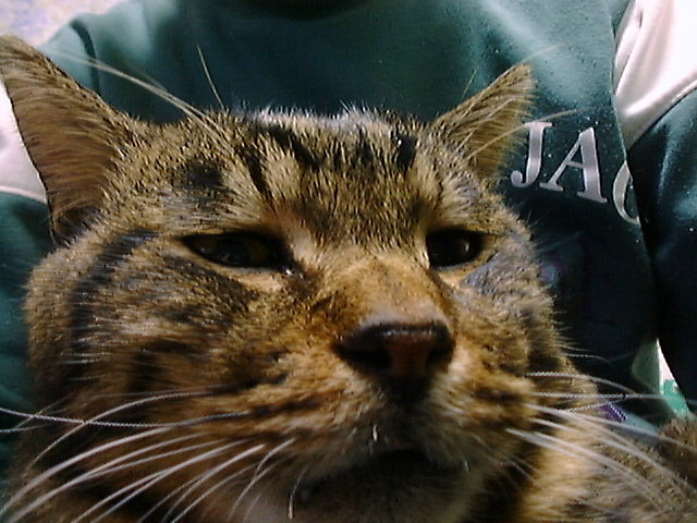 DSC00005_2