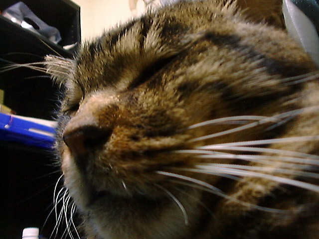 DSC00014_2