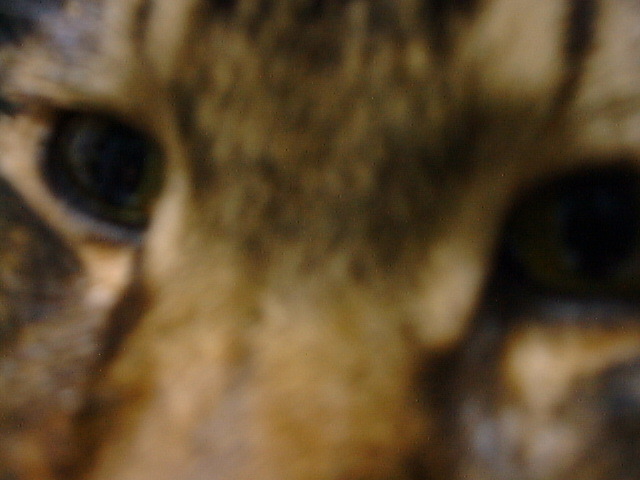 DSC00017_2
