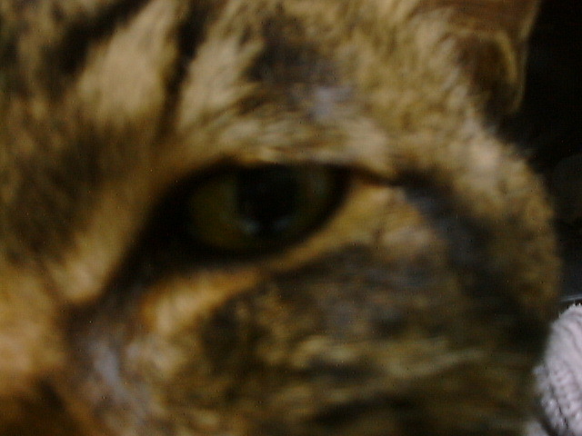 DSC00019_2