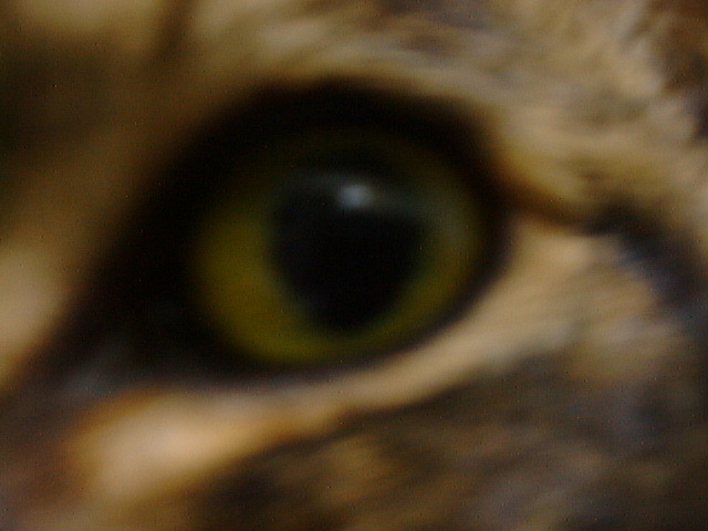 DSC00020_2