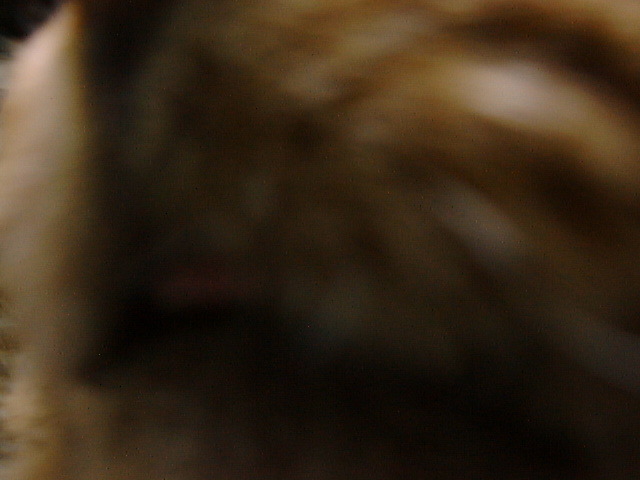 DSC00022_2
