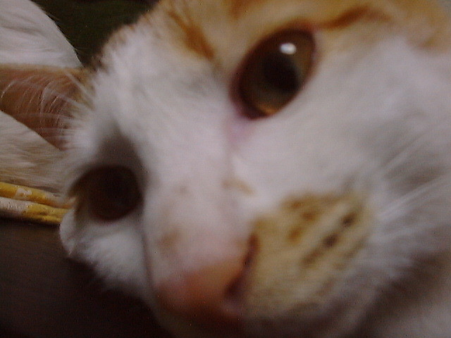 DSC00023_2