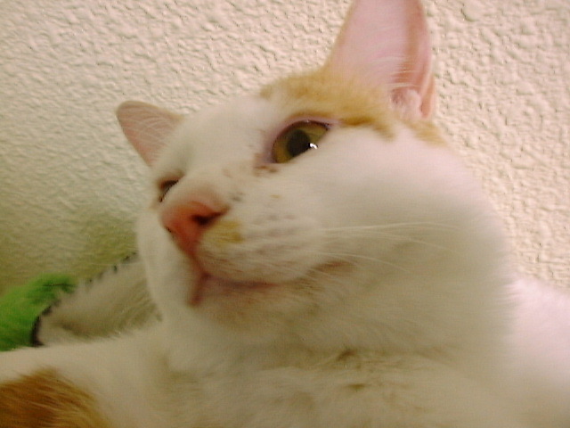 DSC00024_2