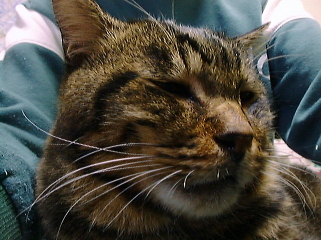 DSC00008_2