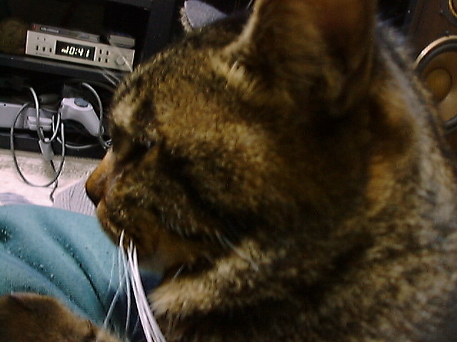 DSC00009_2