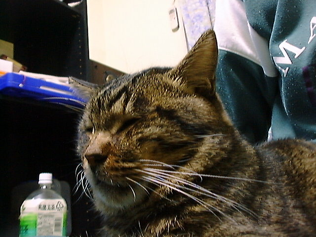 DSC00012_2