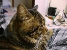 DSC00004_2