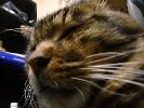DSC00014_2