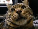 DSC00016_2