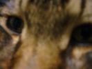 DSC00017_2
