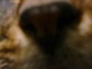 DSC00018_2