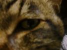 DSC00019_2