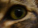 DSC00020_2