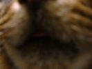 DSC00021_2