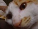DSC00023_2