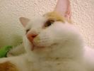 DSC00024_2