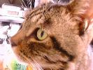 DSC00049_2