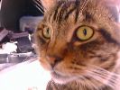 DSC00051_2