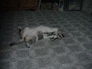 DSC00002_1
