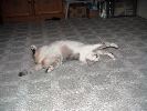 DSC00003_1