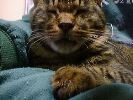 DSC00007_2