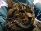 DSC00008_2