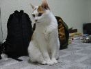 IMG_319