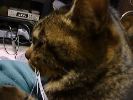 DSC00009_2