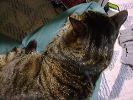 DSC00010_2