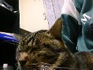 DSC00011_2