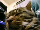 DSC00013_2