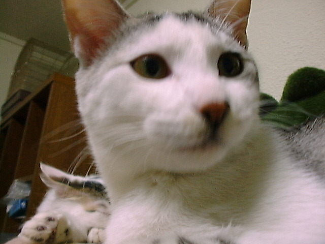 DSC00001_2