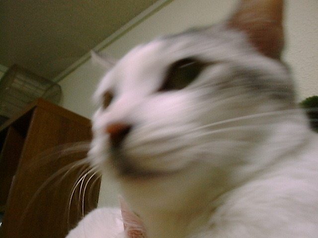 DSC00002_2