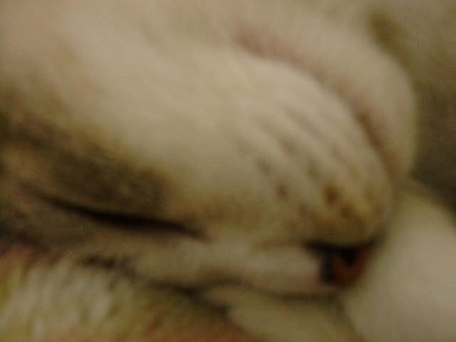DSC00034_2