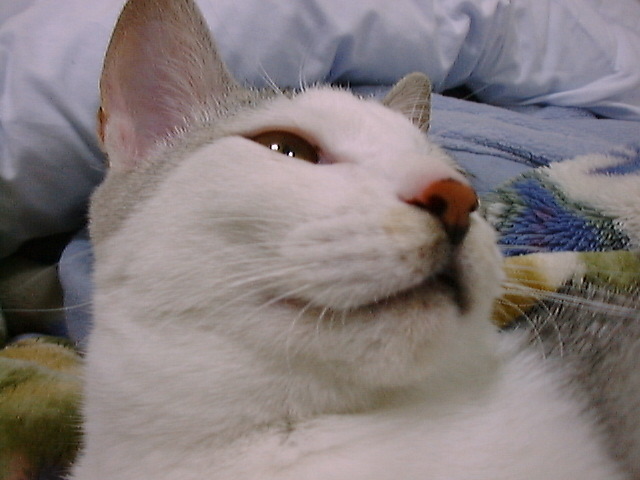 DSC00035_2