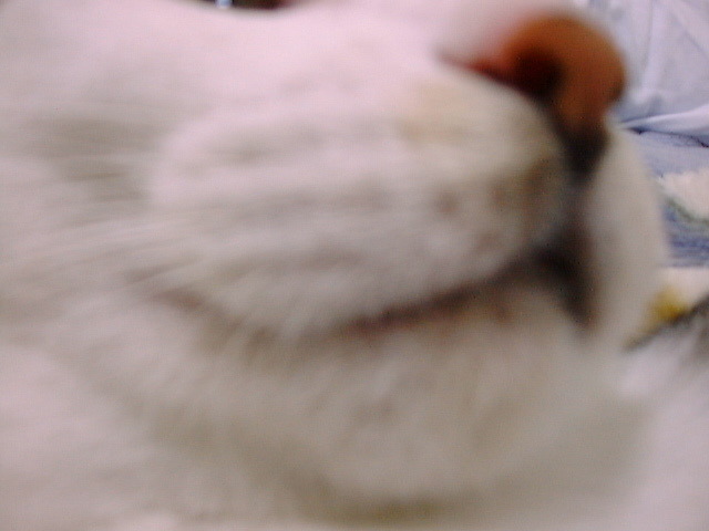 DSC00036_2
