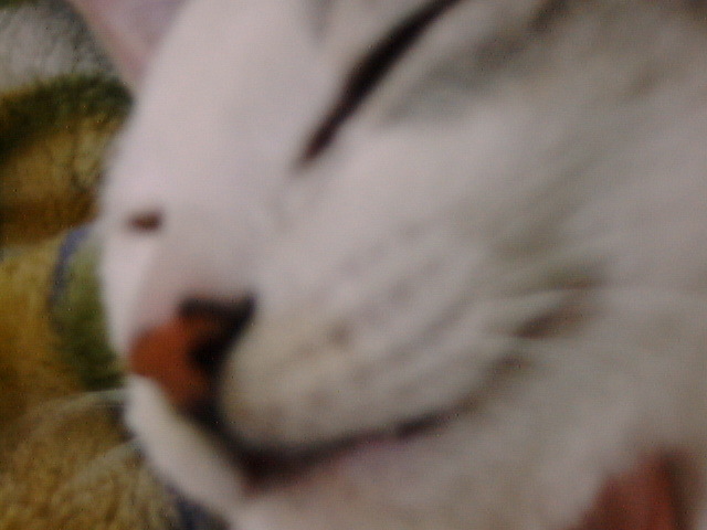 DSC00038_2