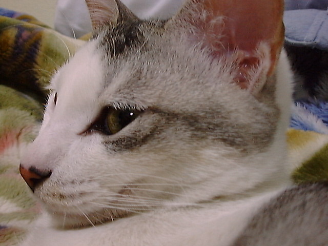 DSC00039_2