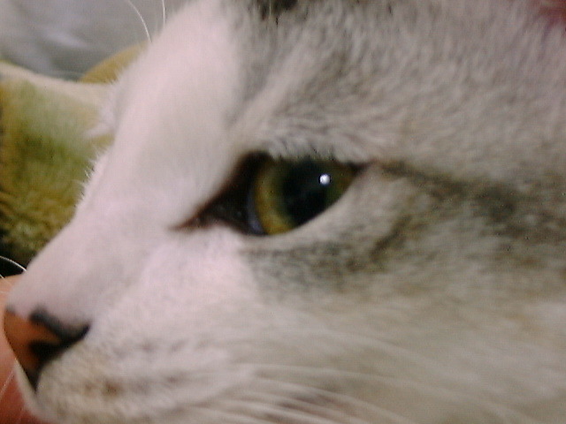DSC00040_2
