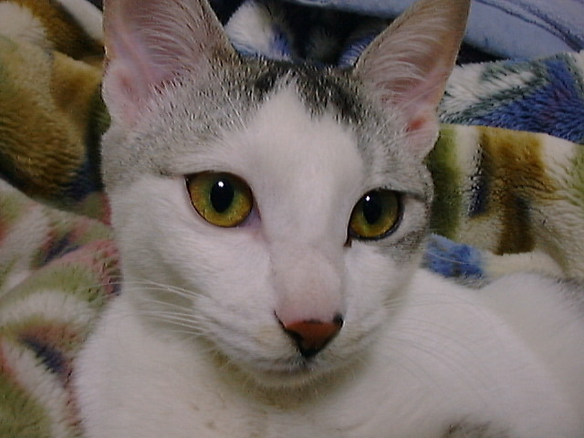 DSC00041_2