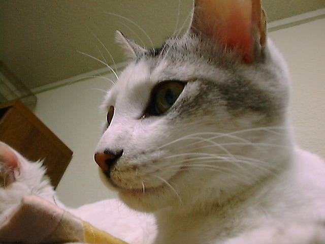 DSC00003_2